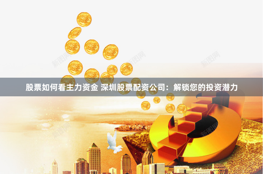 股票如何看主力资金 深圳股票配资公司：解锁您的投资潜力
